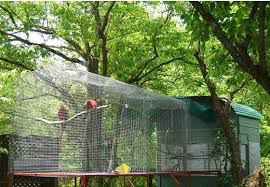 aviary