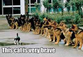 bravery