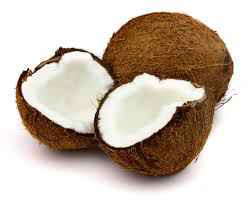 coconut