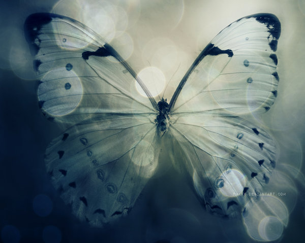 delicate