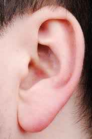 earlobe