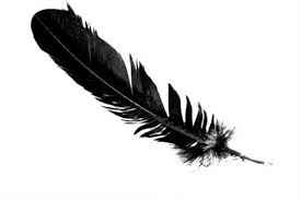 feather