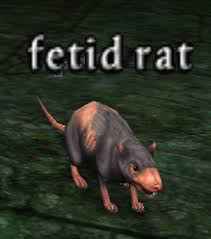 fetid