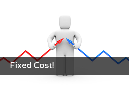 fixed costs