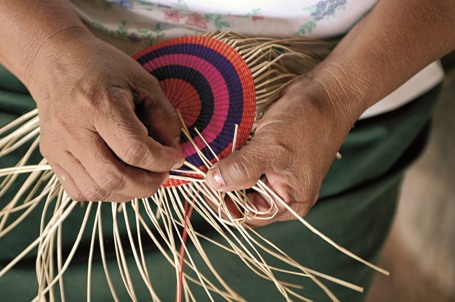 livelihood