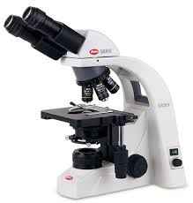 microscope