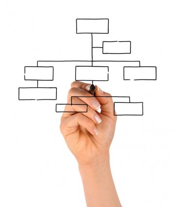 organization chart