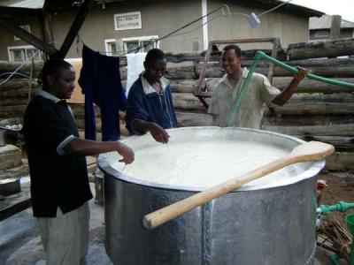 pasteurization