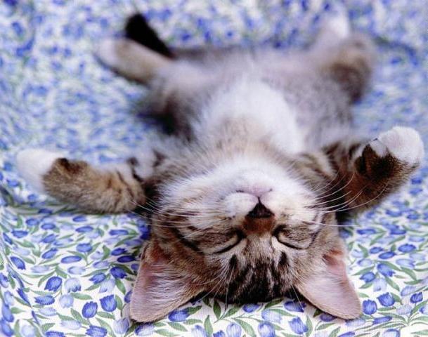 relaxed