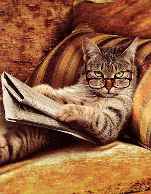 sophisticated