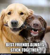 stick together