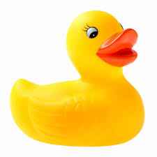 toy duck