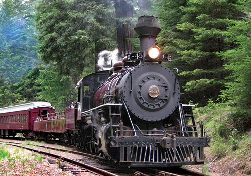 train